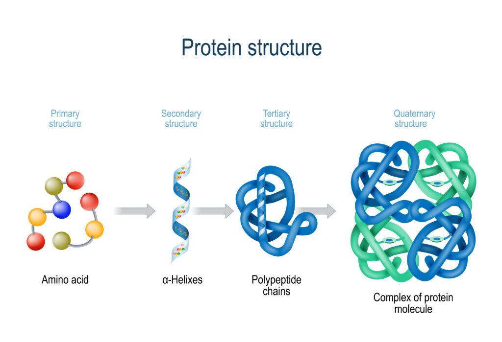 Protein synthesis from amino acids. N, which is present in every amino acid - is the building block for all proteins, which all living matter is made of.