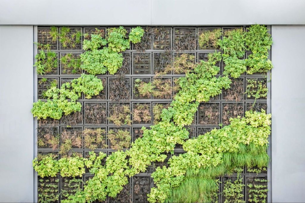 Creative framing can create stunning vertical gardens