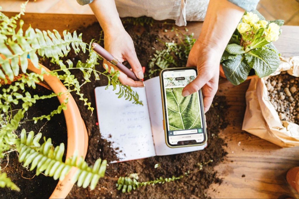 Planning your garden helps to train your cognition