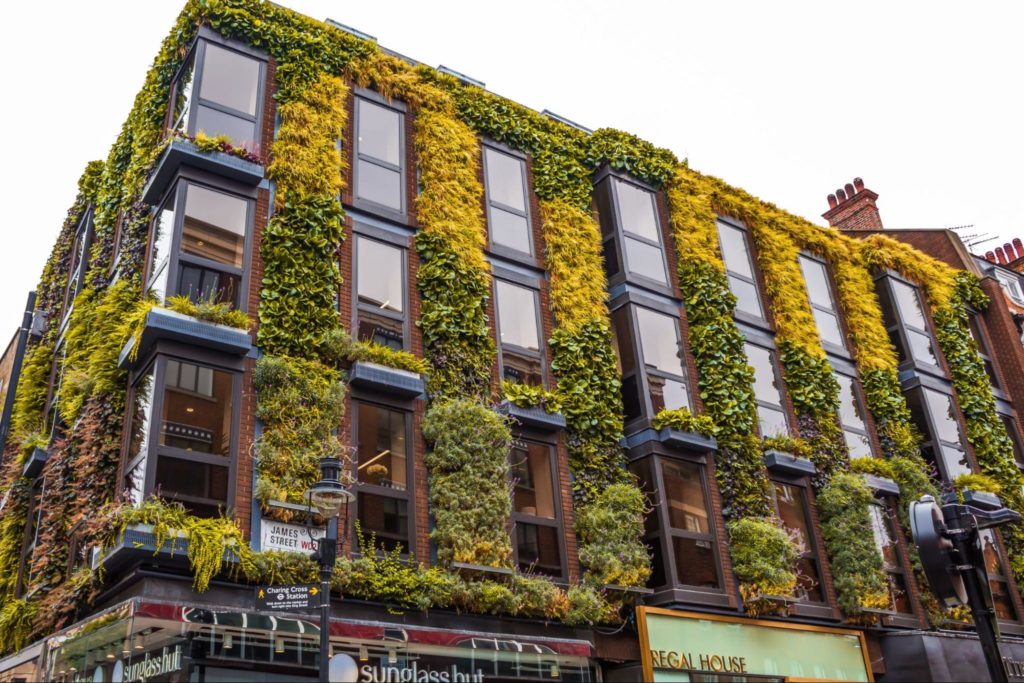 The aesthetic possibilities of vertical gardens are limitless